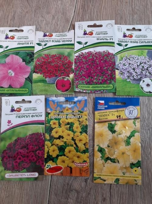 Тестирование_партнёр 2023. 04