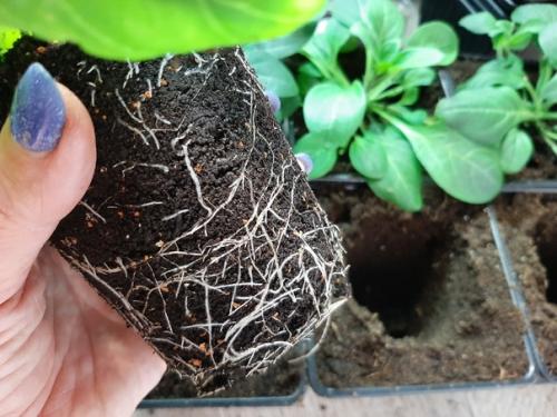 Тестирование_партнёр 2023. 01