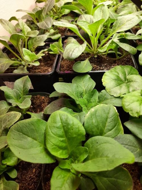 Тестирование_партнёр 2023. 03