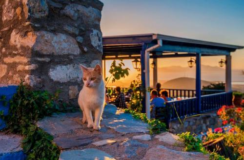 Чем можно заняться на острове кос. 03