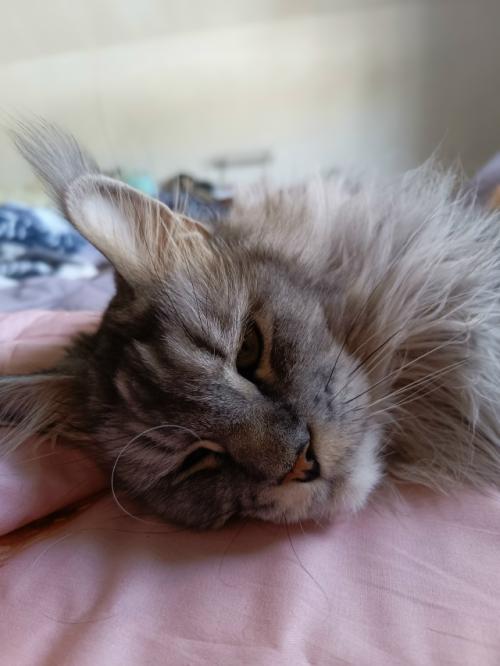 Дайджест за неделю (для самой себя, чтобы не забыть в запаре: 05 Дайджест за неделю (для самой себя, чтобы не забыть в запаре: 05