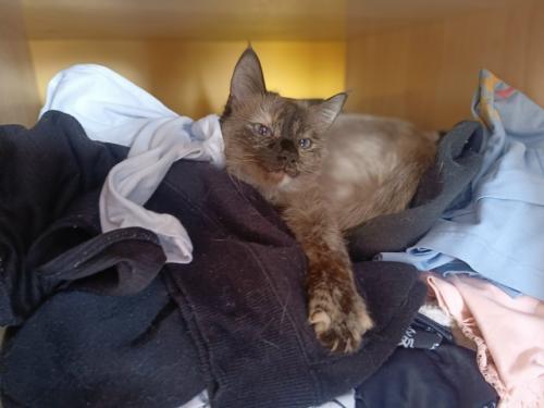 Дайджест за неделю (для самой себя, чтобы не забыть в запаре: 04 Дайджест за неделю (для самой себя, чтобы не забыть в запаре: 04