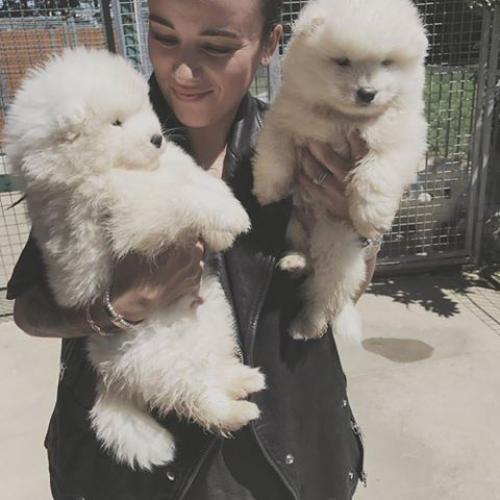 Alizeeonelove. Когда-то это было опубликовано несколько лет назад в другом из пабликов решил про дублировать. 04