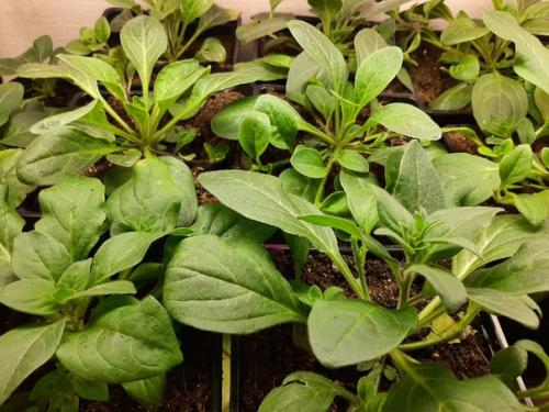 Тестирование_партнёр 2023. 02