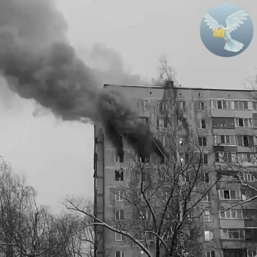 С такими соседями можно чувствовать себя защищённой в любой беде.

