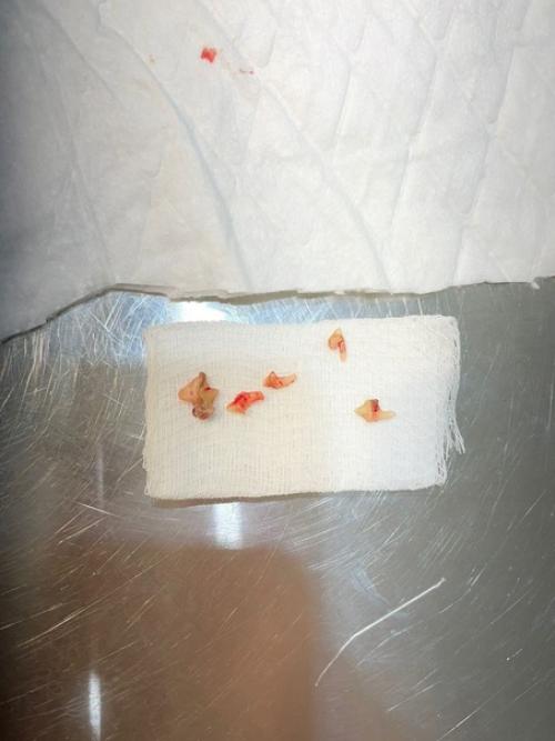 Пожилые животные, так же как и люди, с возрастом начинают испытывать боль, проблемы со здоровьем и нуждаются в особенном уходе. 02