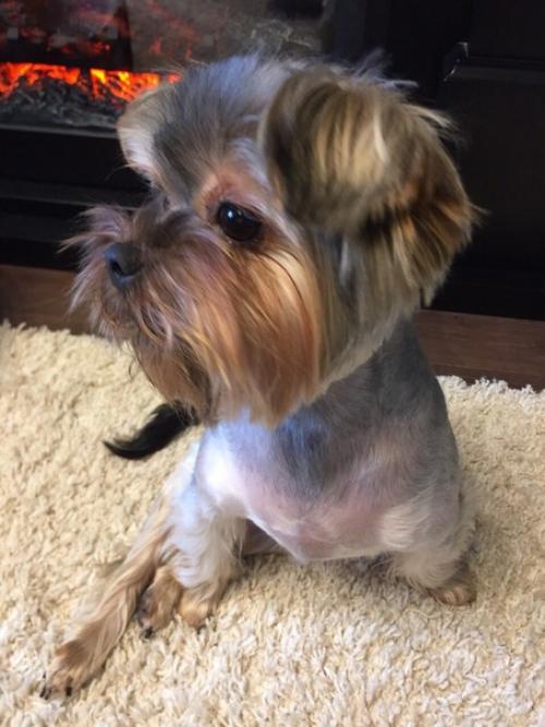 Есть одна новость которую мы держали в секрете уже несколько месяцев, и все же настало время её выпустить в свет? 06