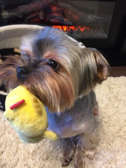 Есть одна новость которую мы держали в секрете уже несколько месяцев, и все же настало время её выпустить в свет? 02