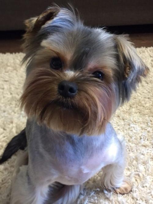 Есть одна новость которую мы держали в секрете уже несколько месяцев, и все же настало время её выпустить в свет? 03