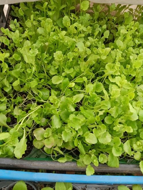 С наступлением тепла проект Мой Спортивный Район перешел на новое расписание. 01