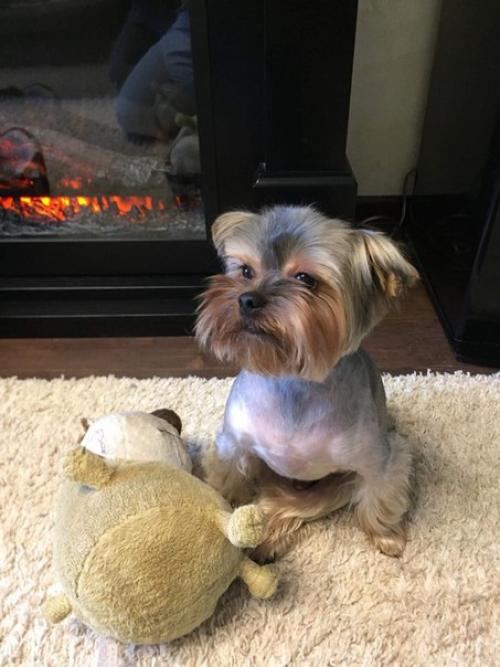 Есть одна новость которую мы держали в секрете уже несколько месяцев, и все же настало время её выпустить в свет? 05