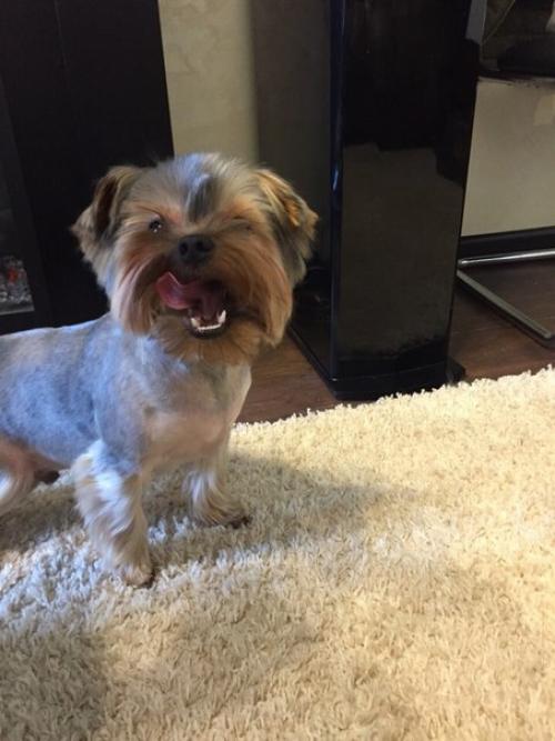 Есть одна новость которую мы держали в секрете уже несколько месяцев, и все же настало время её выпустить в свет? 01