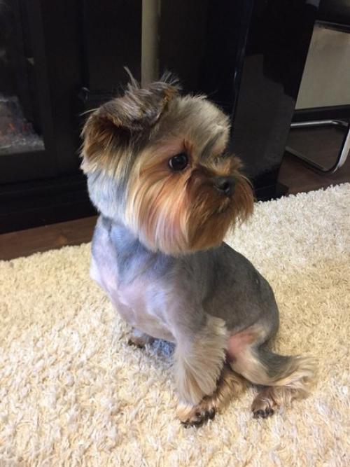 Есть одна новость которую мы держали в секрете уже несколько месяцев, и все же настало время её выпустить в свет? 07