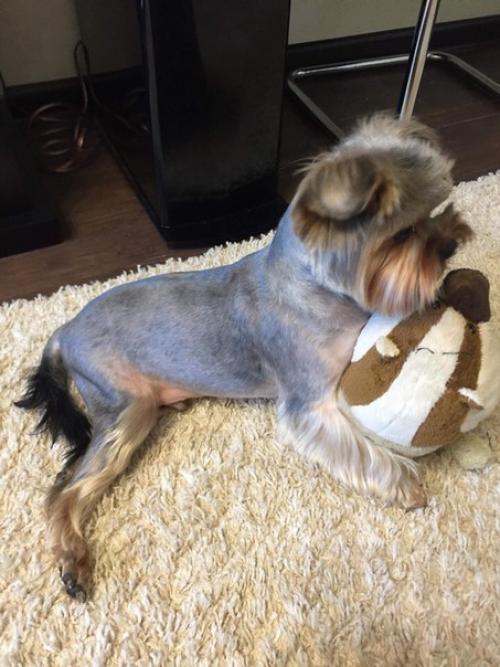 Есть одна новость которую мы держали в секрете уже несколько месяцев, и все же настало время её выпустить в свет? 04