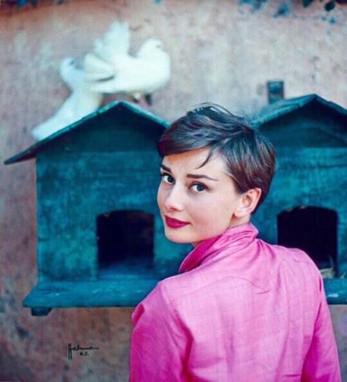 Одри Хепберн - британская и американская актриса, фотомодель, гуманитарный деятель. 01