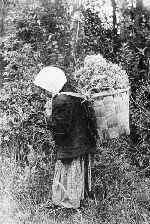 Как жили крестьяне? 01 Как жили крестьяне? 01