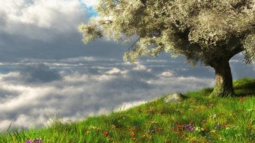 9 мая 2016. 01 9 мая 2016. 01