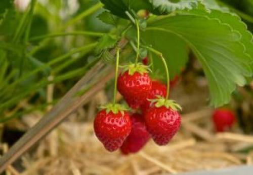 Какие у вас планы на лето. 03