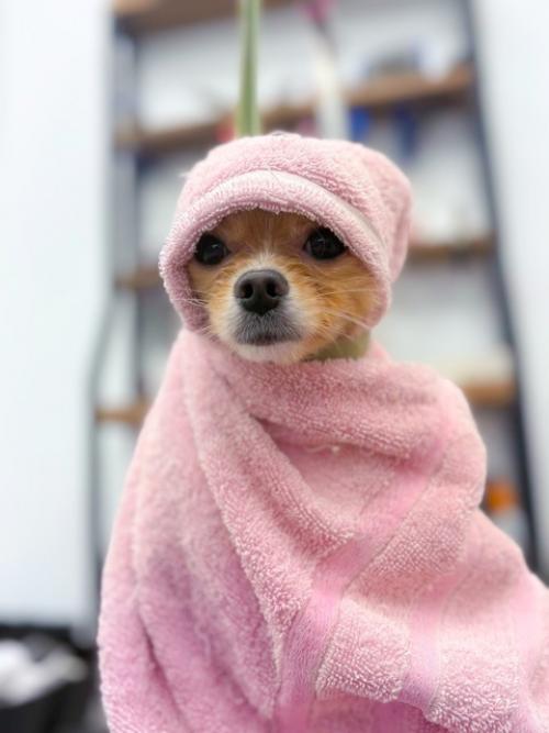 Малыш готов ехать на море и покорять взгляды отдыхающих. 02