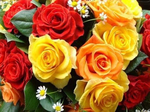 Хорошего дня и прекрасной недели! 01