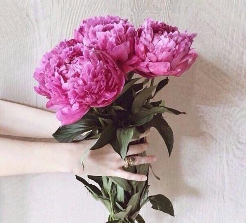 334 способа пополнения женской энергии. 01 334 способа пополнения женской энергии. 01