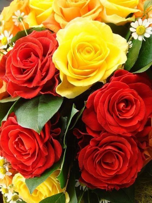 Хорошего дня и прекрасной недели! 03