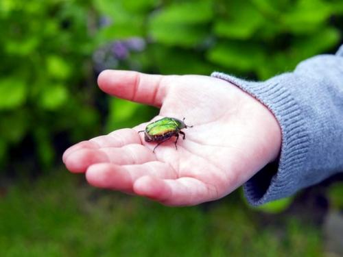 Какие у вас планы на лето. 02