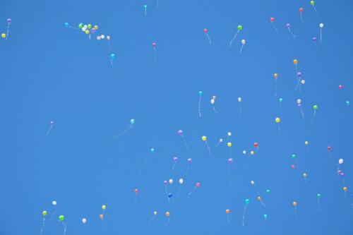 Вот и прошел год, у всех уже свои интересы. 04 Вот и прошел год, у всех уже свои интересы. 04