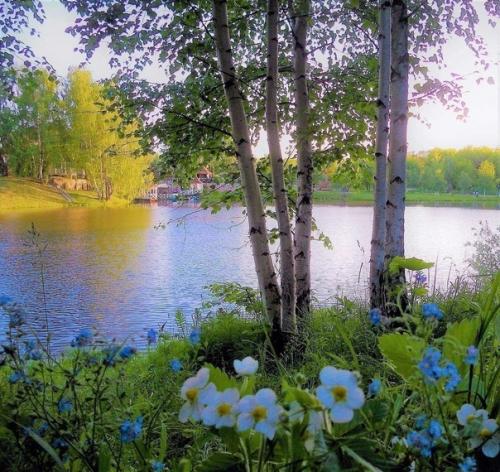 Яков теплый.   Яков. 03 Яков теплый.   Яков. 03