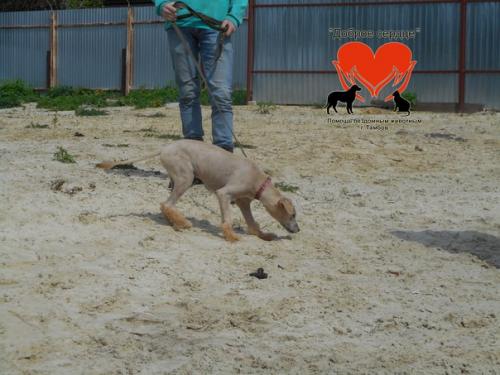 Очень надеюсь, что флер вам чем-то понравилась, раз уж вы читаете этот текст. 02