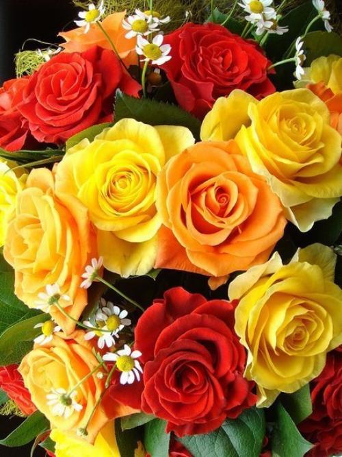 Хорошего дня и прекрасной недели! 02