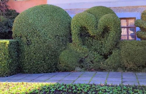 Все слышали выражения Лавровый Венок, пожинать лавры, почивать на лаврах. 01