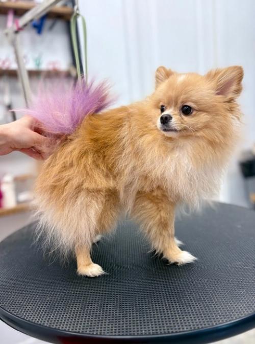 Малыш готов ехать на море и покорять взгляды отдыхающих. 06