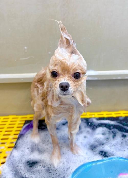 Малыш готов ехать на море и покорять взгляды отдыхающих. 03