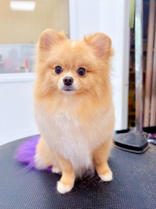 Малыш готов ехать на море и покорять взгляды отдыхающих. 01