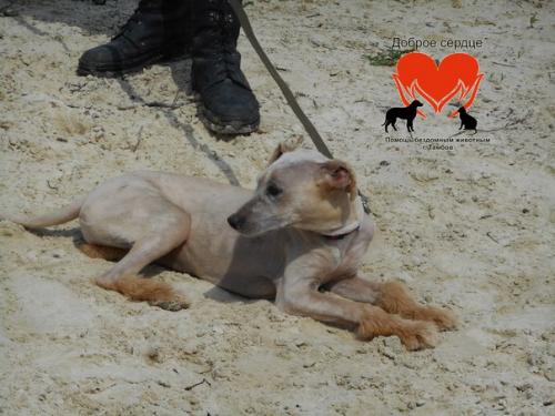 Очень надеюсь, что флер вам чем-то понравилась, раз уж вы читаете этот текст. 03