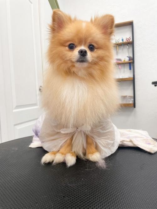 Малыш готов ехать на море и покорять взгляды отдыхающих. 05