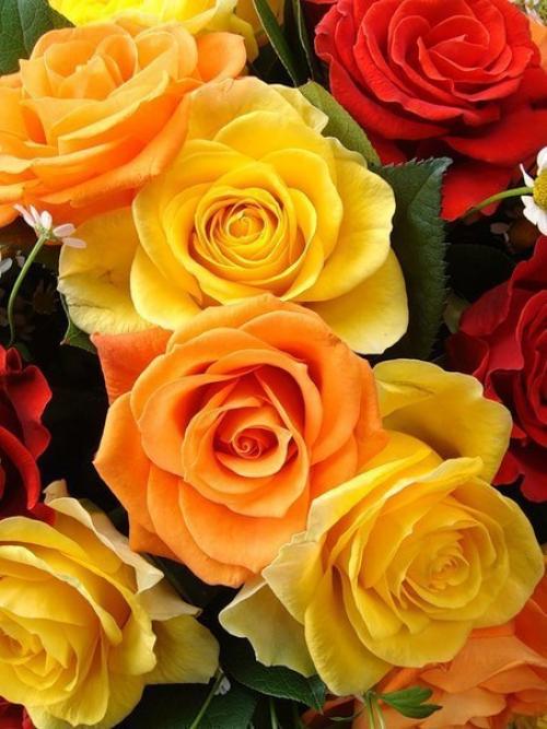 Хорошего дня и прекрасной недели! 05