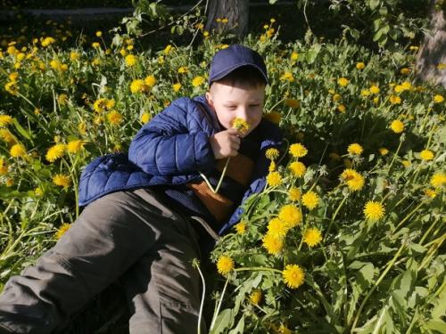 Гоша, смотри какая полянка, сфоткай меня в одуванах, пожалуйста! 03