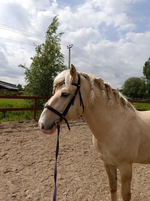 Время парикмахерских экспериментов! 01 Время парикмахерских экспериментов! 01