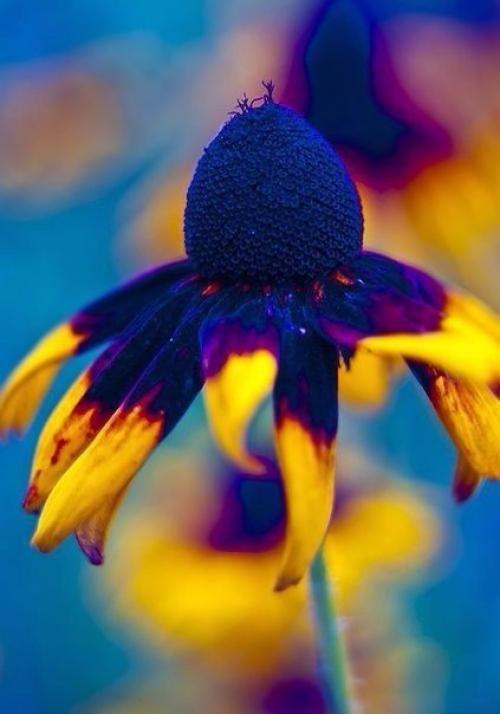 Почаще устраивайте себе разгрузочный день: 02