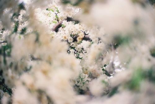 Фотоальбом лета. Мы забираем к себе на страницу. 01 Фотоальбом лета. Мы забираем к себе на страницу. 01