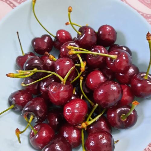 Diar.  June.   Боженька ставит чайник, сыплет в заварку мяту, снова канал включает, тот, что без сурикатов. 01