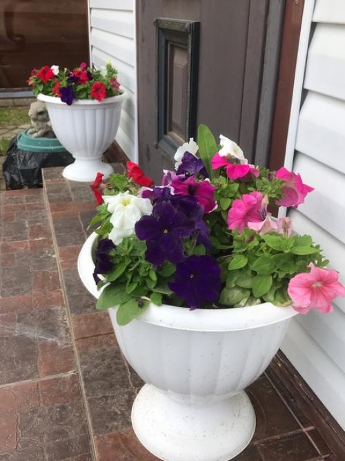 Лето, здравствуй!  Начало очень красивое положено. 03