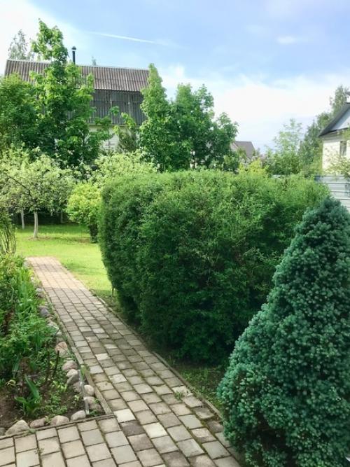 Лето, здравствуй!  Начало очень красивое положено. 01