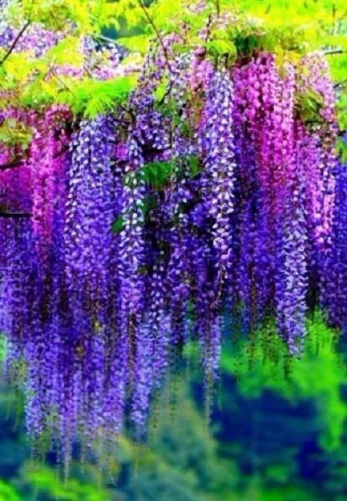 Почаще устраивайте себе разгрузочный день: 05