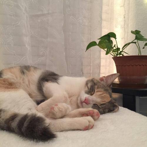 9 вещей, которые всегда должны быть в женской сумочке летом. 01