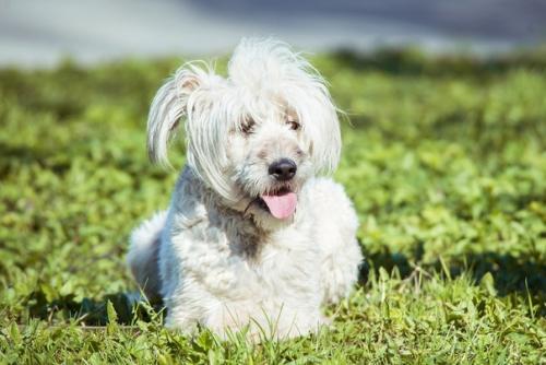 В добрые руки. 01 В добрые руки. 01