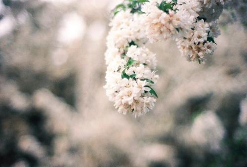 Фотоальбом лета. Мы забираем к себе на страницу. 03 Фотоальбом лета. Мы забираем к себе на страницу. 03