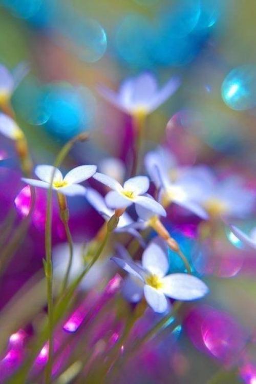 Почаще устраивайте себе разгрузочный день: 03